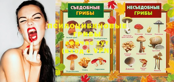 Альфа ПВП Лихославль