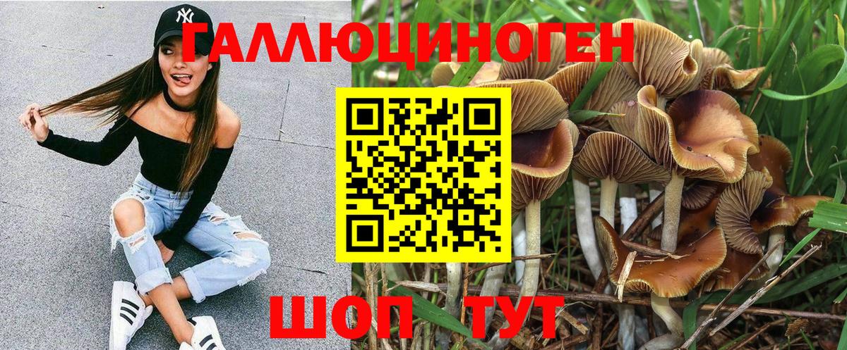 Дербент  Галлюциногенные грибы Cubensis  Вход с VPN 