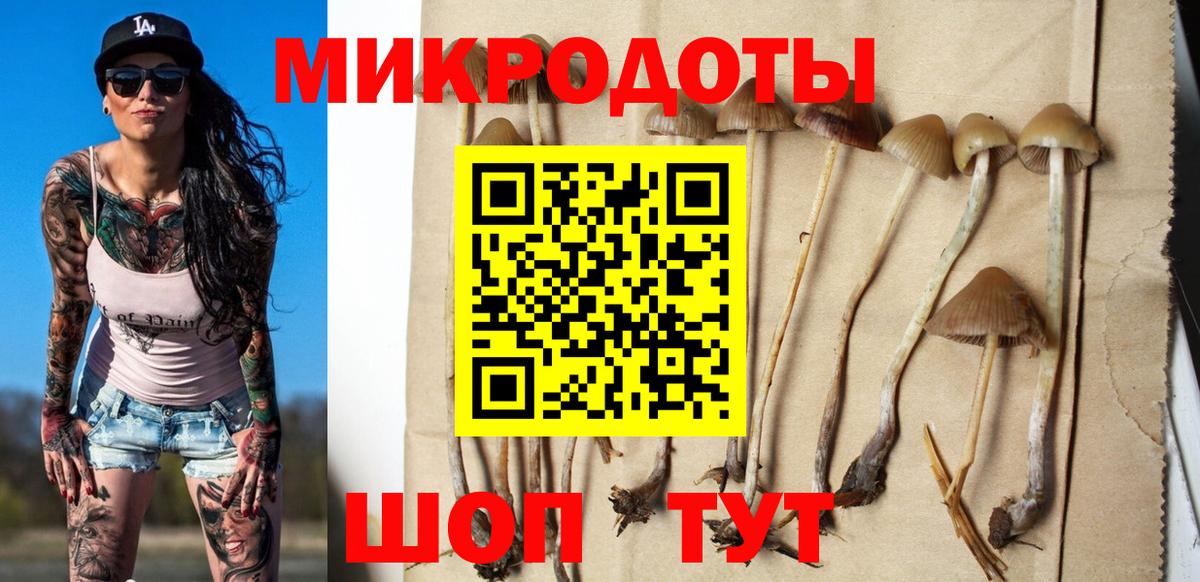 Псилоцибиновые грибы мицелий Дербент