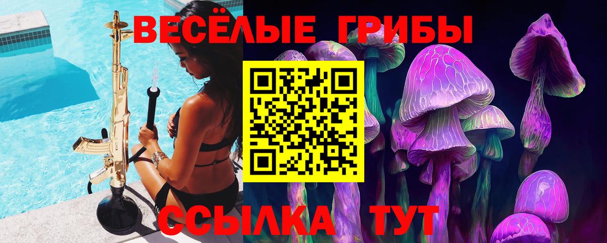 Галлюциногенные грибы Psilocybe  Дербент 