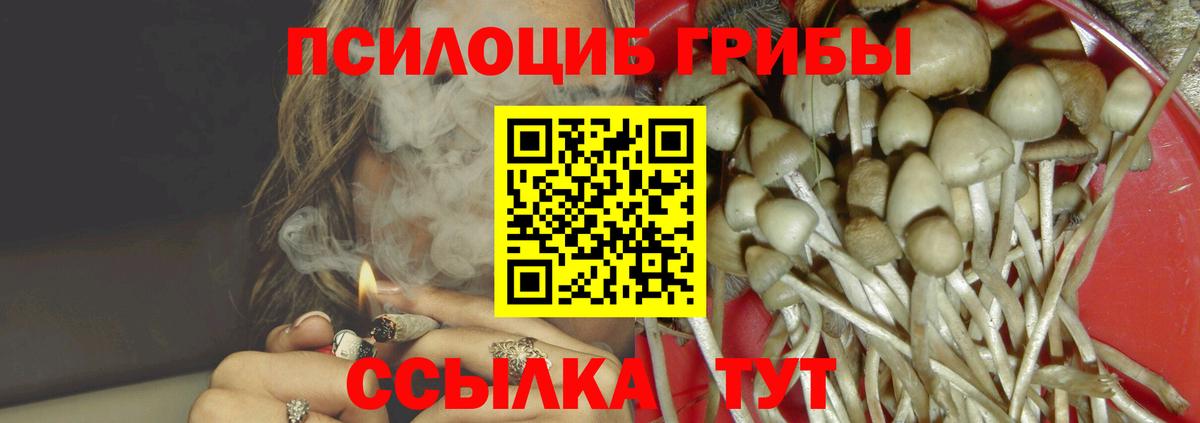 Псилоцибиновые грибы мухоморы Дербент
